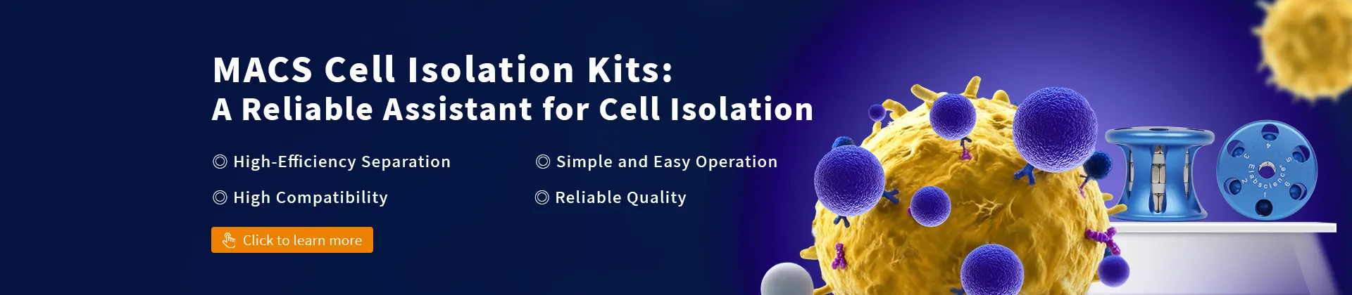 MACS Cell Isolation Kit: A Reliable Assistant for Cell Isolation